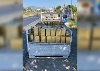 Tekirdağ’da ruhsatsız tüfek ve uyuşturucu aparatı ele geçirildi