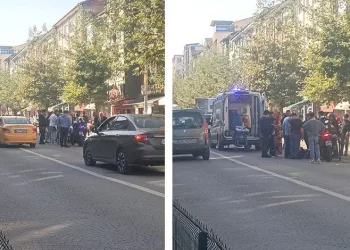 Çaycuma’da motosikletli kurye köpeğe çarptı