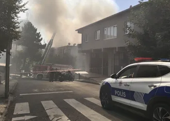Van’da Rojin dört bir koldan aranıyor
