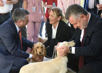 Yıldırım’da can dostlar emin ellerde