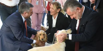 Yıldırım’da can dostlar emin ellerde
