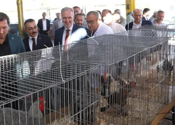 İnegöl’de Küçükbaş Hayvancılık Festivali başladı