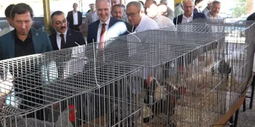 İnegöl’de Küçükbaş Hayvancılık Festivali başladı