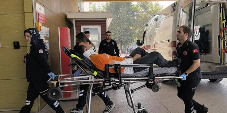 Aynı ağaçtan düşen amca ve yeğen yaralandı