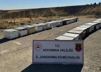 Şüphelinin yakını polise bıçakla saldırdı, yaralının yakınları tekme ve yumruk attı: 3 gözaltı