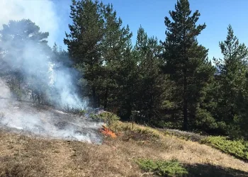Sivas’ta örtü yangınına müdahale sürüyor
