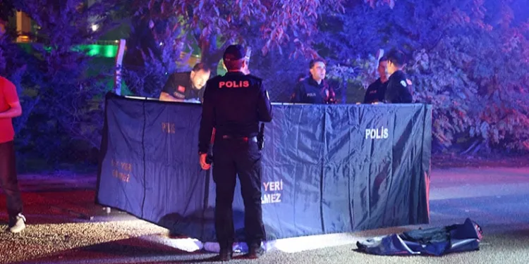 Yolda yürürken otomobilin çarptığı kadın hayatını kaybetti