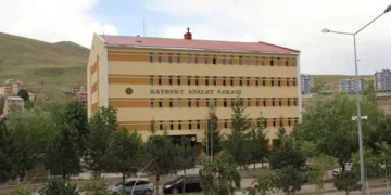 Van’da farklı suçlardan 25 kişi tutuklandı