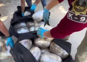 Hakkari’de araç şarampole yuvarlandı: 1 yaralı