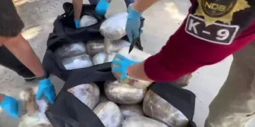 Hakkari’de araç şarampole yuvarlandı: 1 yaralı