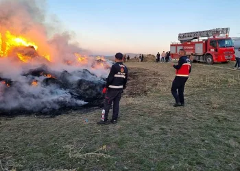 Van’da 9 bin bağ ot yandı