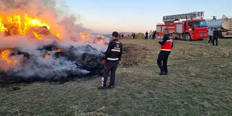 Van’da 9 bin bağ ot yandı