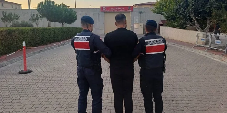 Tırın dorsesinde 380 bin adet kaçak sigara ele geçirildi