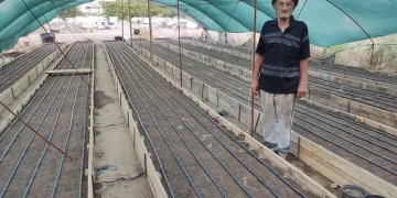 Yeni sezonun ilk salepleri toprakla buluştu