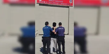Dolandırıcılara eş zamanlı operasyon