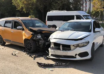 Çarptığı otomobilin camına ok gibi saplandı
