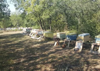 Bursa’da kahvehane sular altında kaldı, vatandaşlar oyuna devam etti