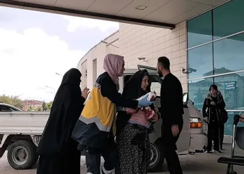 Kedi ile köpeğin kavgasını ayırdı, kedinin saldırısına uğradı
