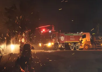 Adana’da ormanlık alanda yangın