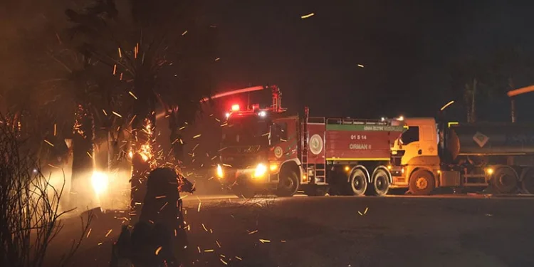 Adana’da ormanlık alanda yangın