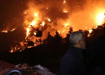 Muğla’da orman yangınları