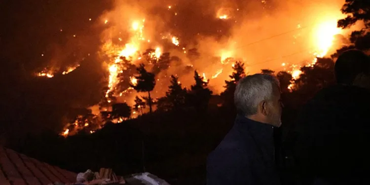 Muğla’da orman yangınları