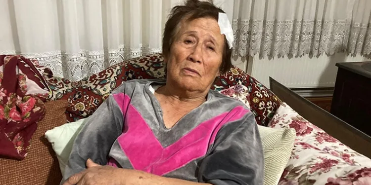 66 yaşındaki kadını sopa ve bisiklet ile acımasızca darp etti