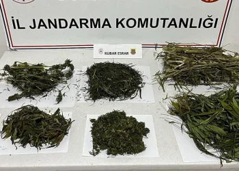 D-100’ü yarış pistine çevirenler enselendi: Sürücülere 7 bin 842 lira ceza