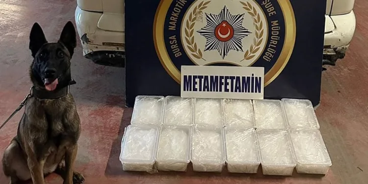 Bursa’da tarihi uyuşturucu operasyonu