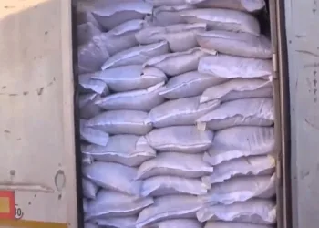 Sınır kapısında 79 ton bozuk ceviz içi ele geçirildi