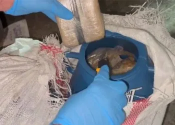 Balık dolu varillerden kilolarca uyuşturucu çıktı