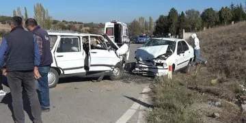 Çiftçinin zeytinine jandarma koruması
