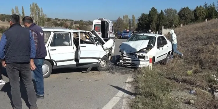 Çiftçinin zeytinine jandarma koruması