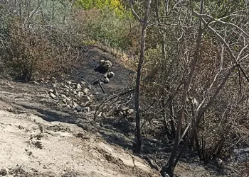 Eskişehir’de kesinleşmiş hapis cezası bulunan FETÖ/PDY üyesi yakalandı