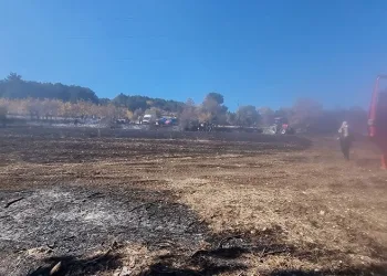 Kütahya’da anız yangını ormana sıçradı