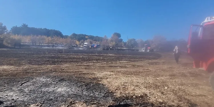 Kütahya’da anız yangını ormana sıçradı