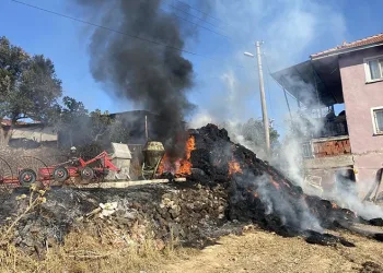 Muş’ta farklı suçlardan 16 kişi yakalandı