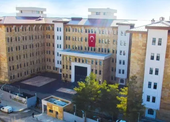 Cins köpekler jandarmayı geçemedi