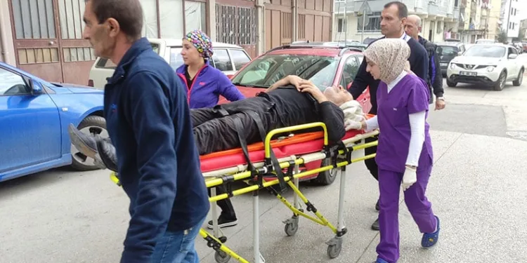 Bursa’da zeytin budarken ağaçtan düştü