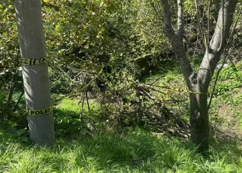 Evinin bahçesindeki yaşlı kadını domuz zannedip öldürdü