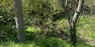 Evinin bahçesindeki yaşlı kadını domuz zannedip öldürdü