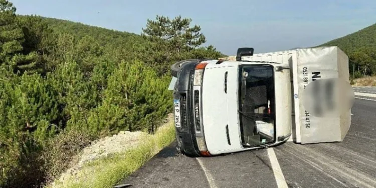 Sürücü ve yolcu yanarak hayatını kaybetti