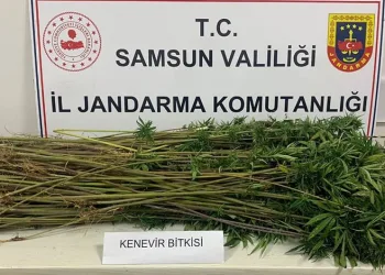 Evinde 5 çeşit uyuşturucu ele geçen şahıs gözaltına alındı