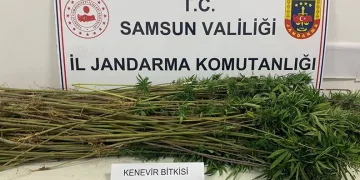 Evinde 5 çeşit uyuşturucu ele geçen şahıs gözaltına alındı