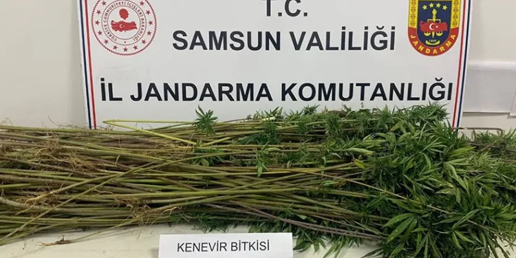 Evinde 5 çeşit uyuşturucu ele geçen şahıs gözaltına alındı