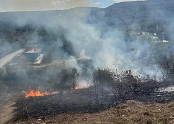 Samsun’da örtü yangını korkuttu