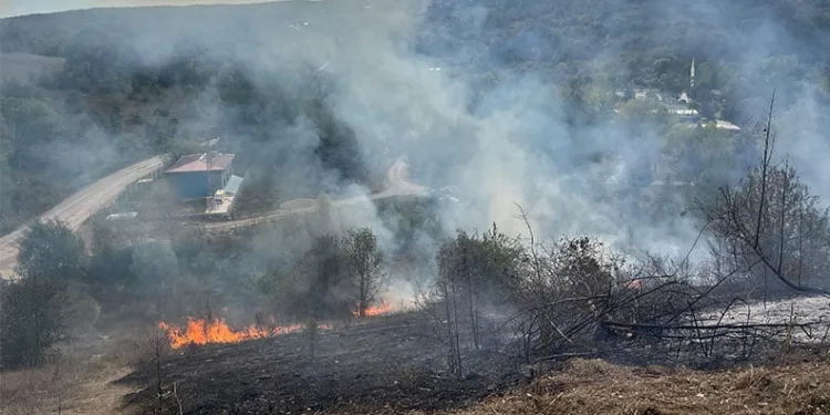 Samsun’da örtü yangını korkuttu