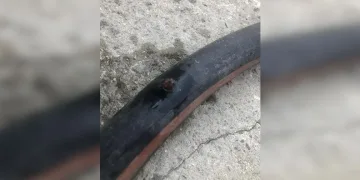 Düğün konvoyunda silahlarla havaya ateş açtılar, o anlar kamerada