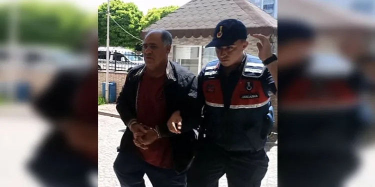Tırın dorsesinde 380 bin adet kaçak sigara ele geçirildi