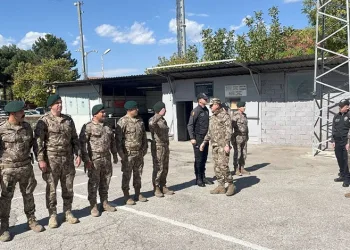 Yayladağı’nda örtü yangını